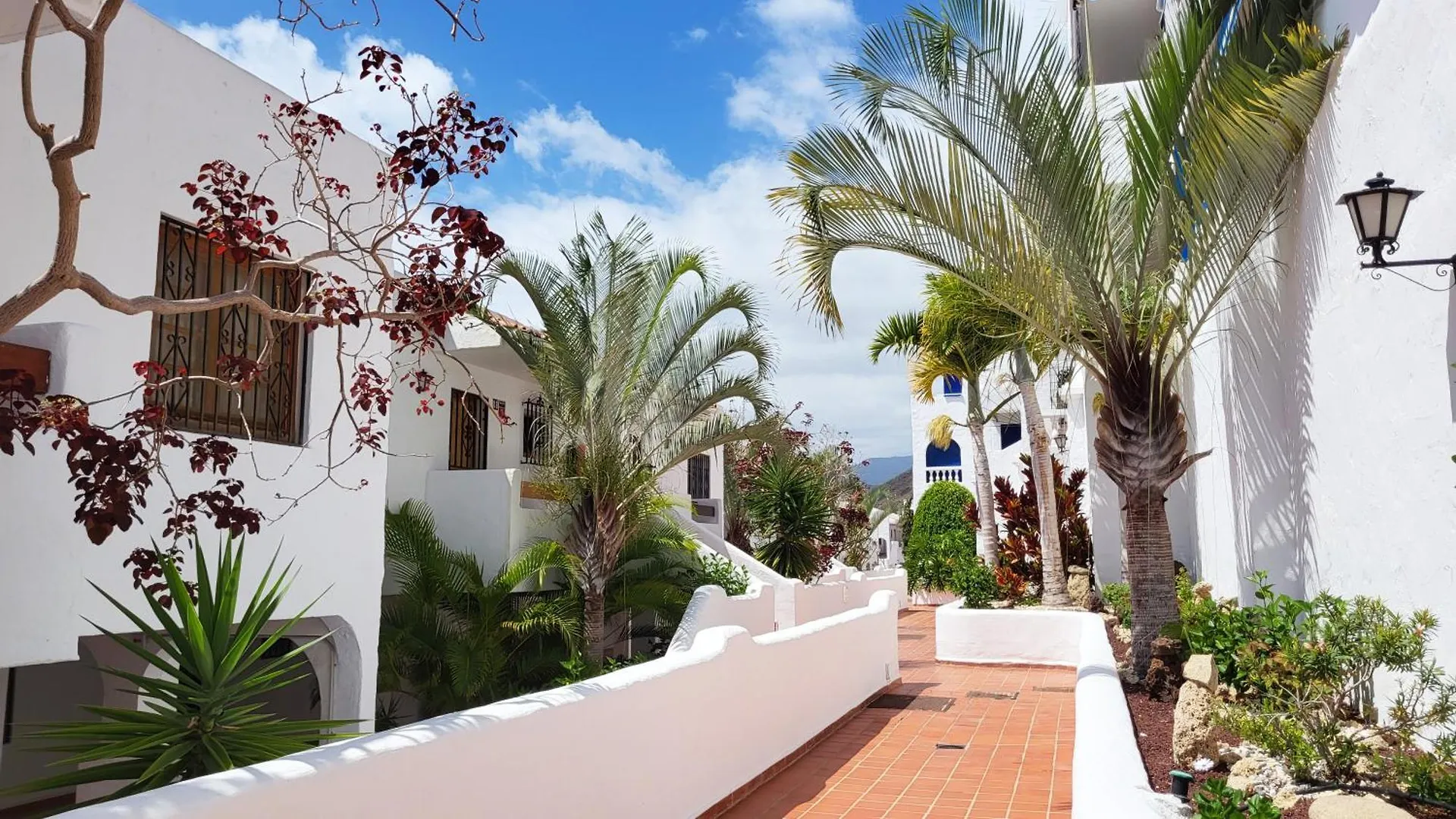 Discover Your Perfect Escape ! Arona  0*, Arona (Tenerife) Spanien